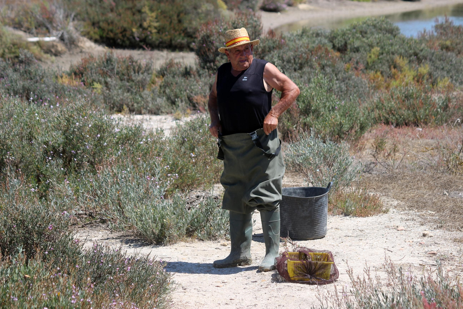 La recuperación de la Salina Balbanera, en imágenes