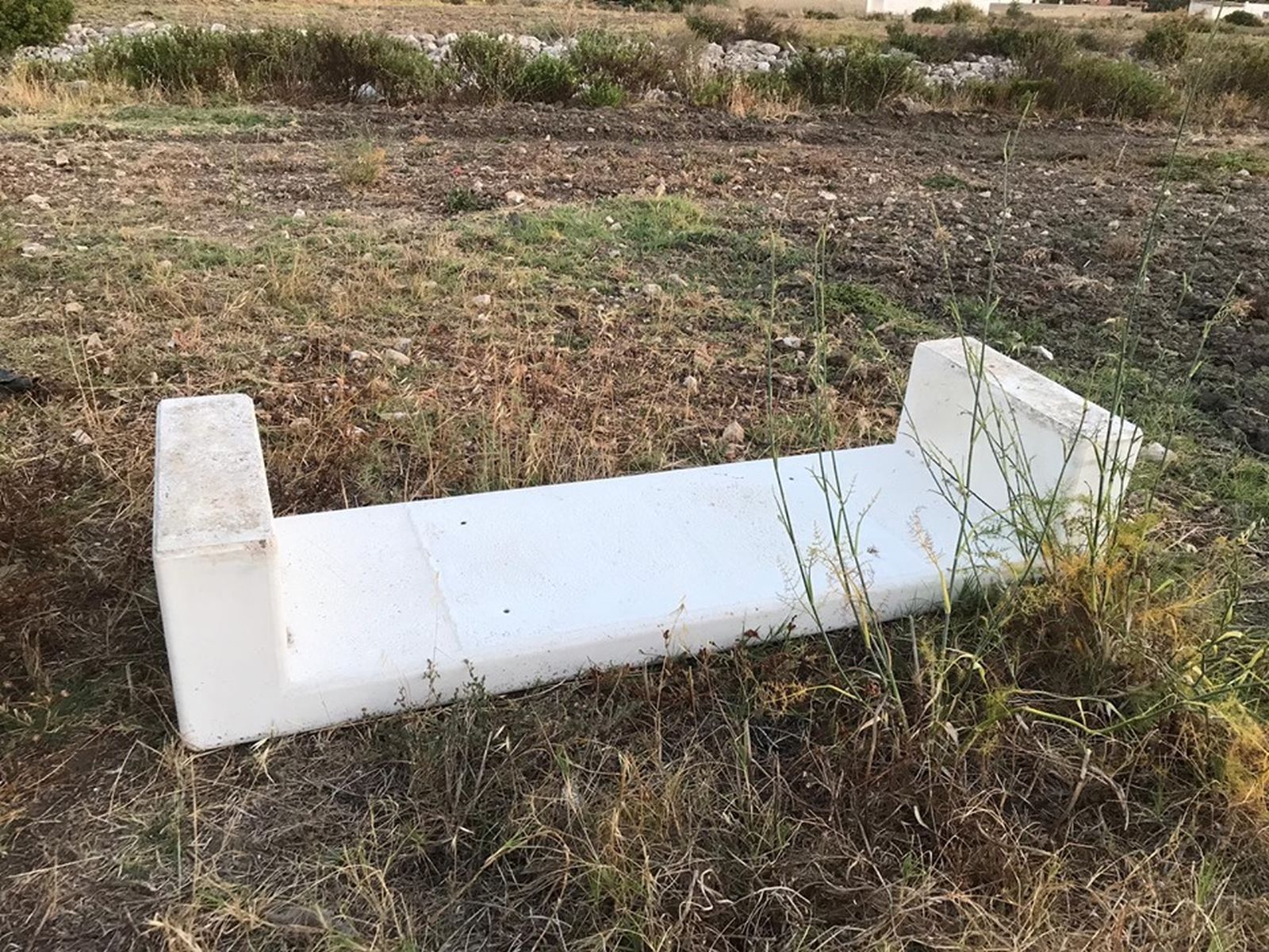 Imágenes del parque de la Laguna de la Rana Verde.