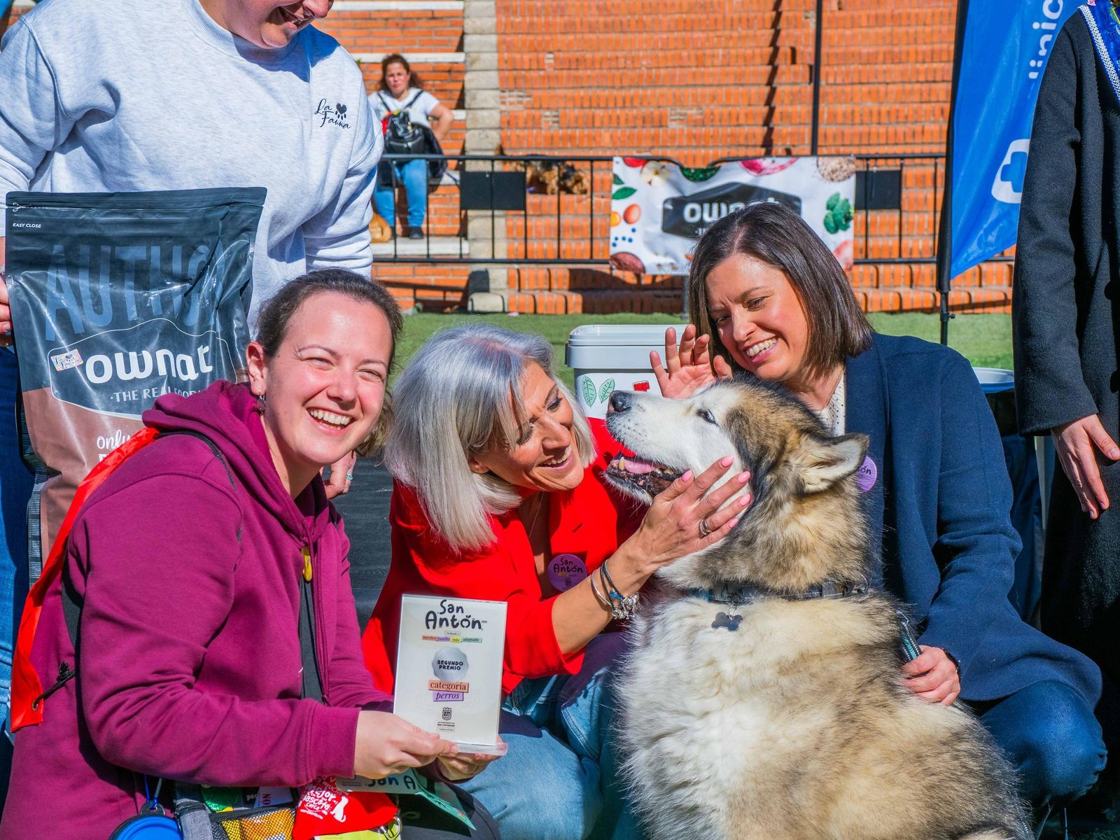 Las imágenes de San Antón 2025 en San Fernando