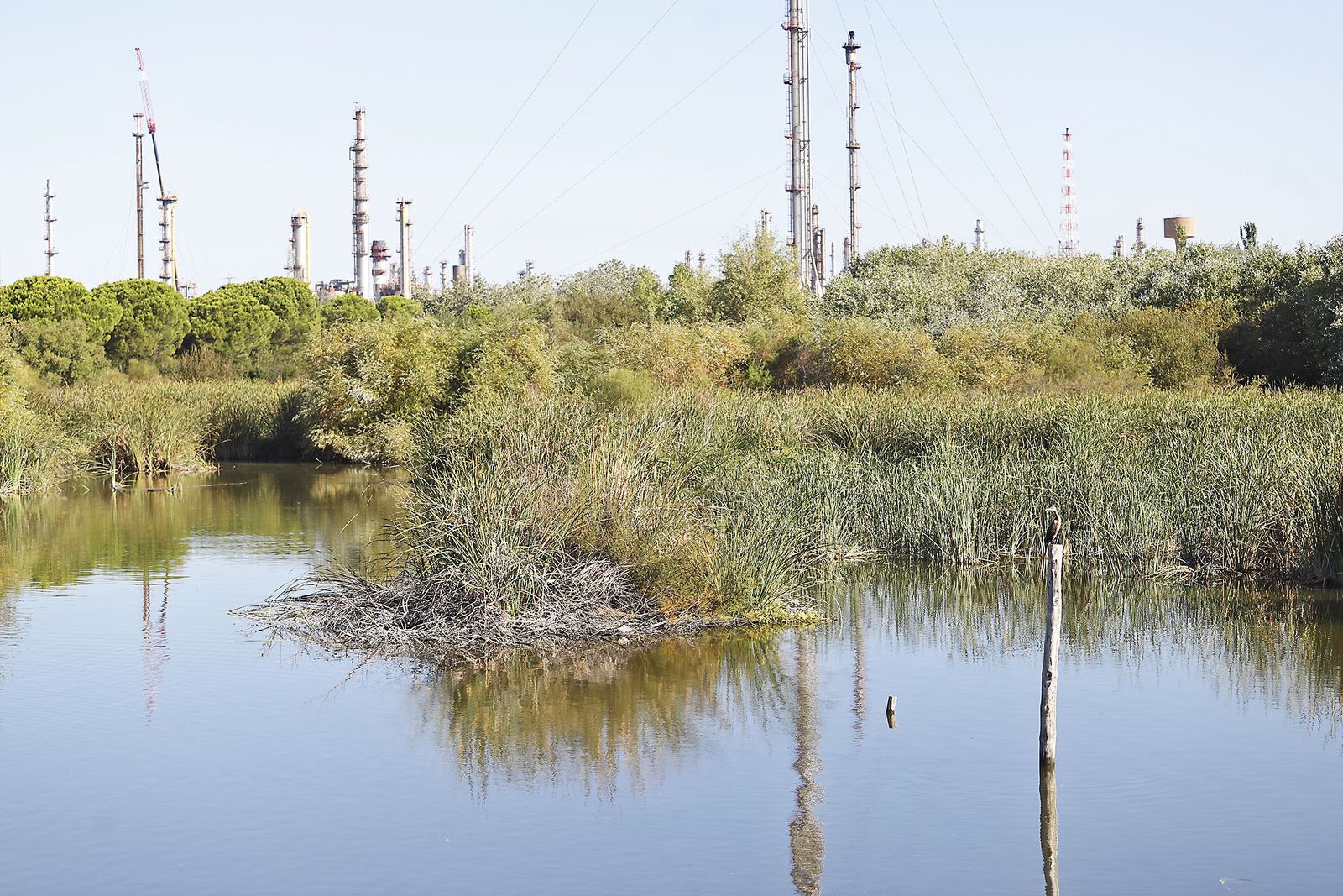 Las imágenes más destacadas del lunes 25 de septiembre en Huelva