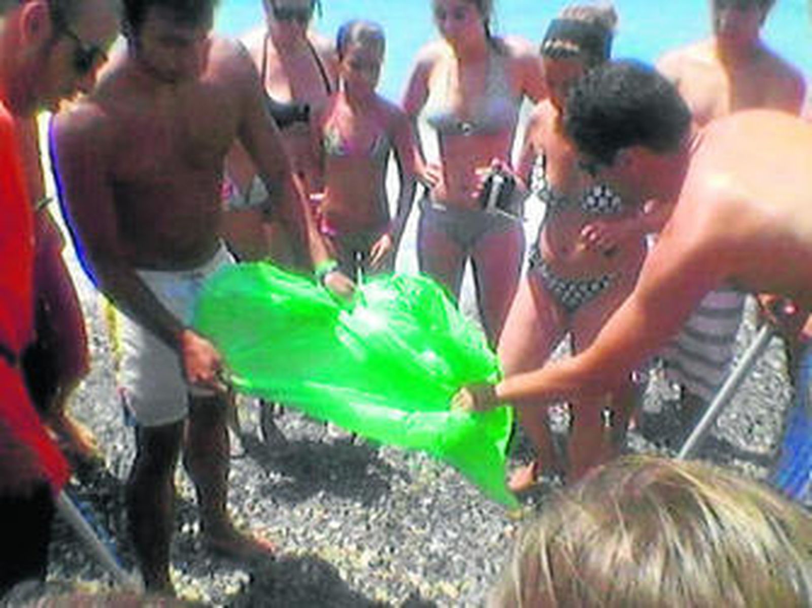 Protección Civil se encargó de sacar a la medusa de la playa.