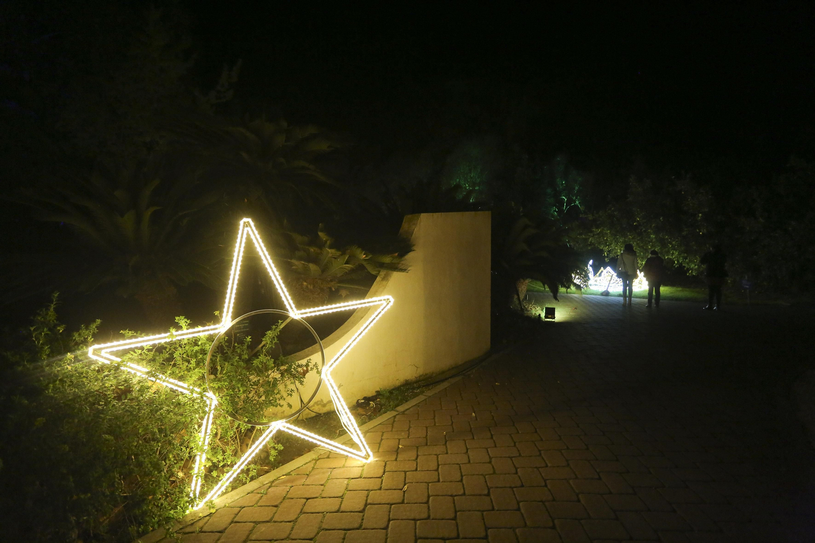 Las luces del Jardín Botánico de Málaga esta Navidad, en fotos