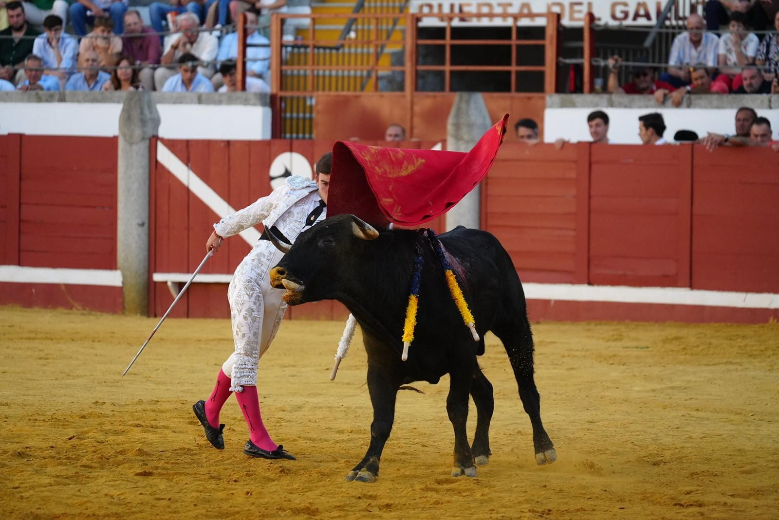 Las fotos del triunfo de Manuel Quintana en la feria taurina de Pozoblanco