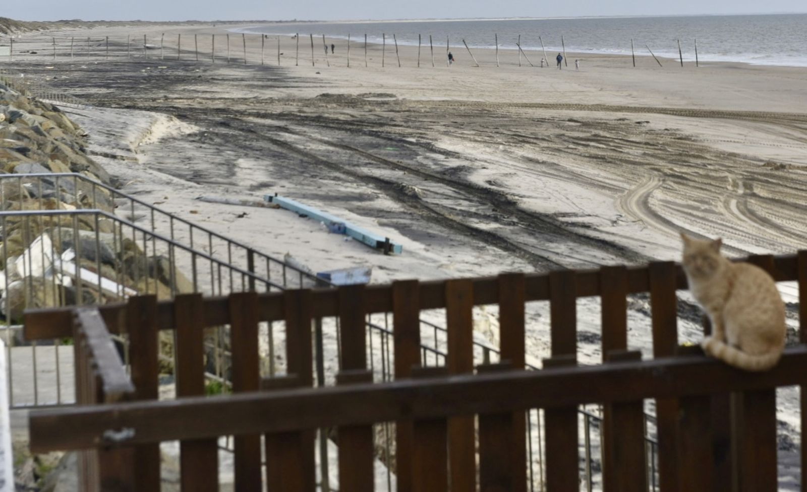 Comienza las obras de regeneración de arena en Matalascañas