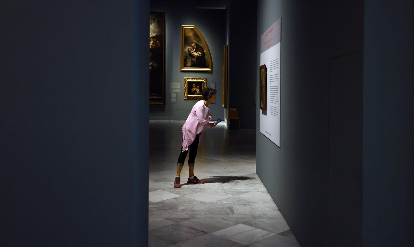 El Museo de Bellas Artes en el Día Mundial del Turismo, todas las imágenes