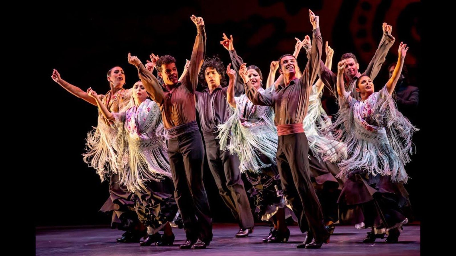 Ballet Flamenco de Andalucía, compañía institucional de referencia y embajadora del flamenco en todo el mundo.
