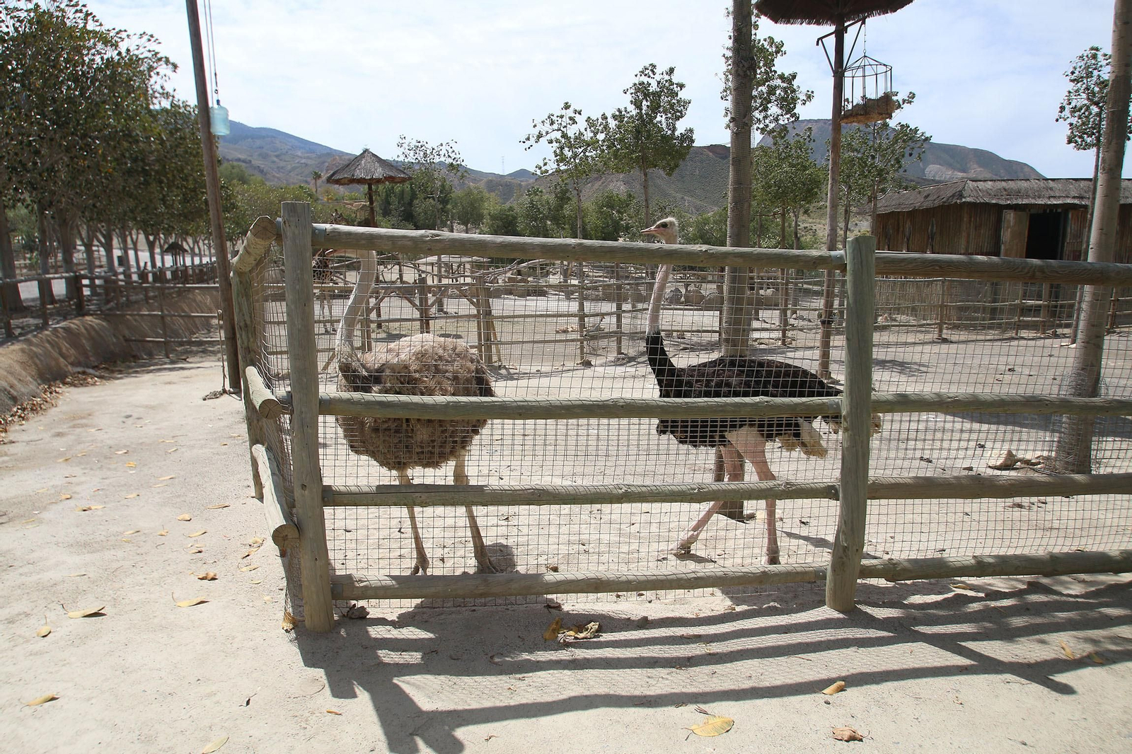 Fotogalería del Oasys Mini Hollywood sin actividad durante el coronavirus