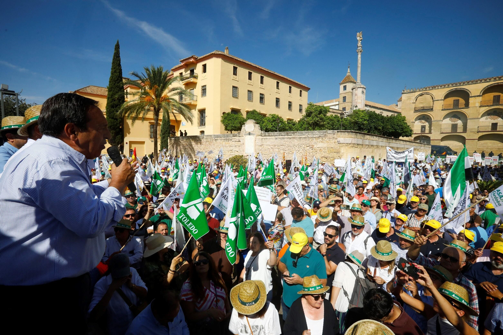 La protesta del sector agrario contra las políticas de la UE en Córdoba, en imágenes