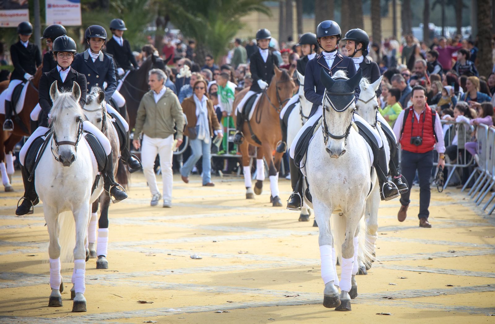Fiesta de san Antón 2024 en Jerez