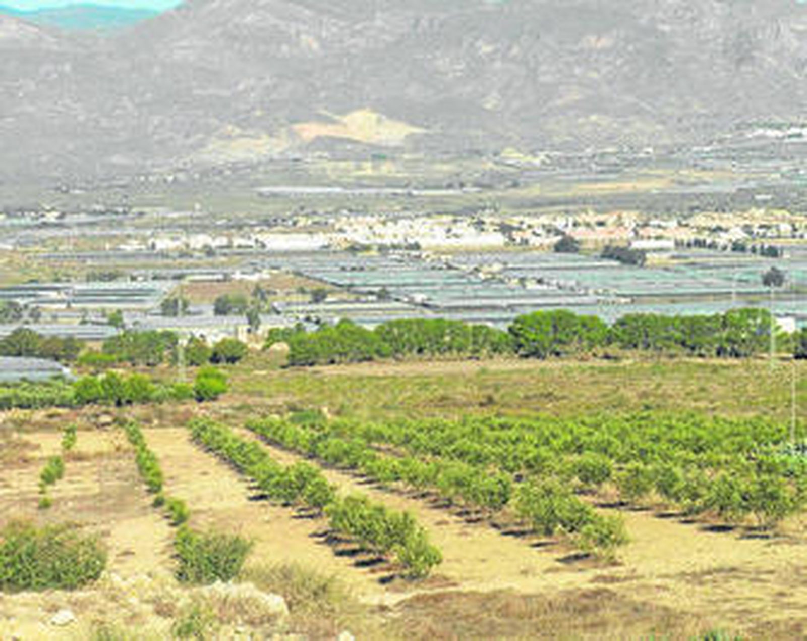 Vista general de Cortijo 'El Búho', en el municipio de Níjar.