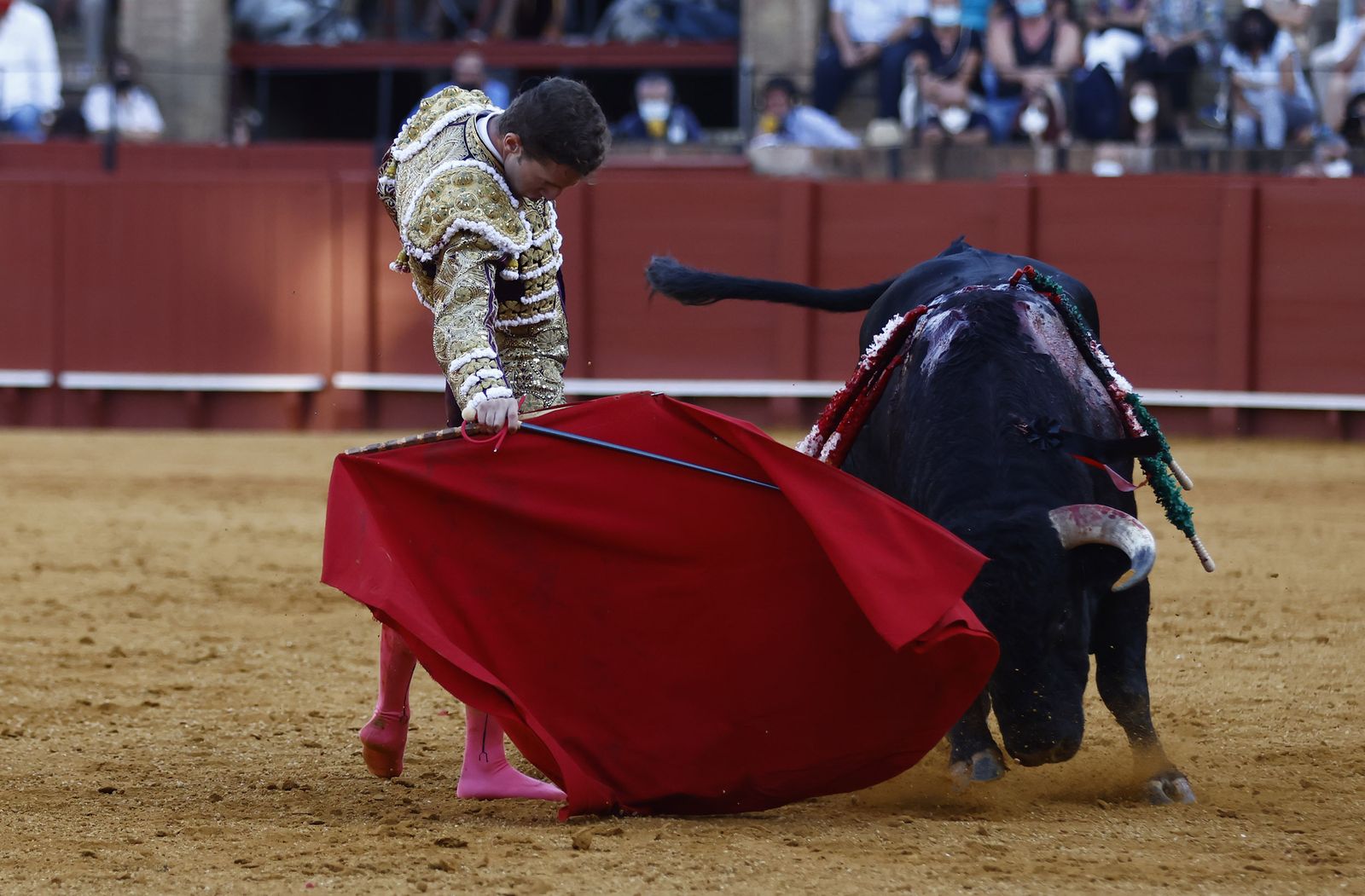 Fotos de la segunda novillada de la feria de San Miguel de Sevilla