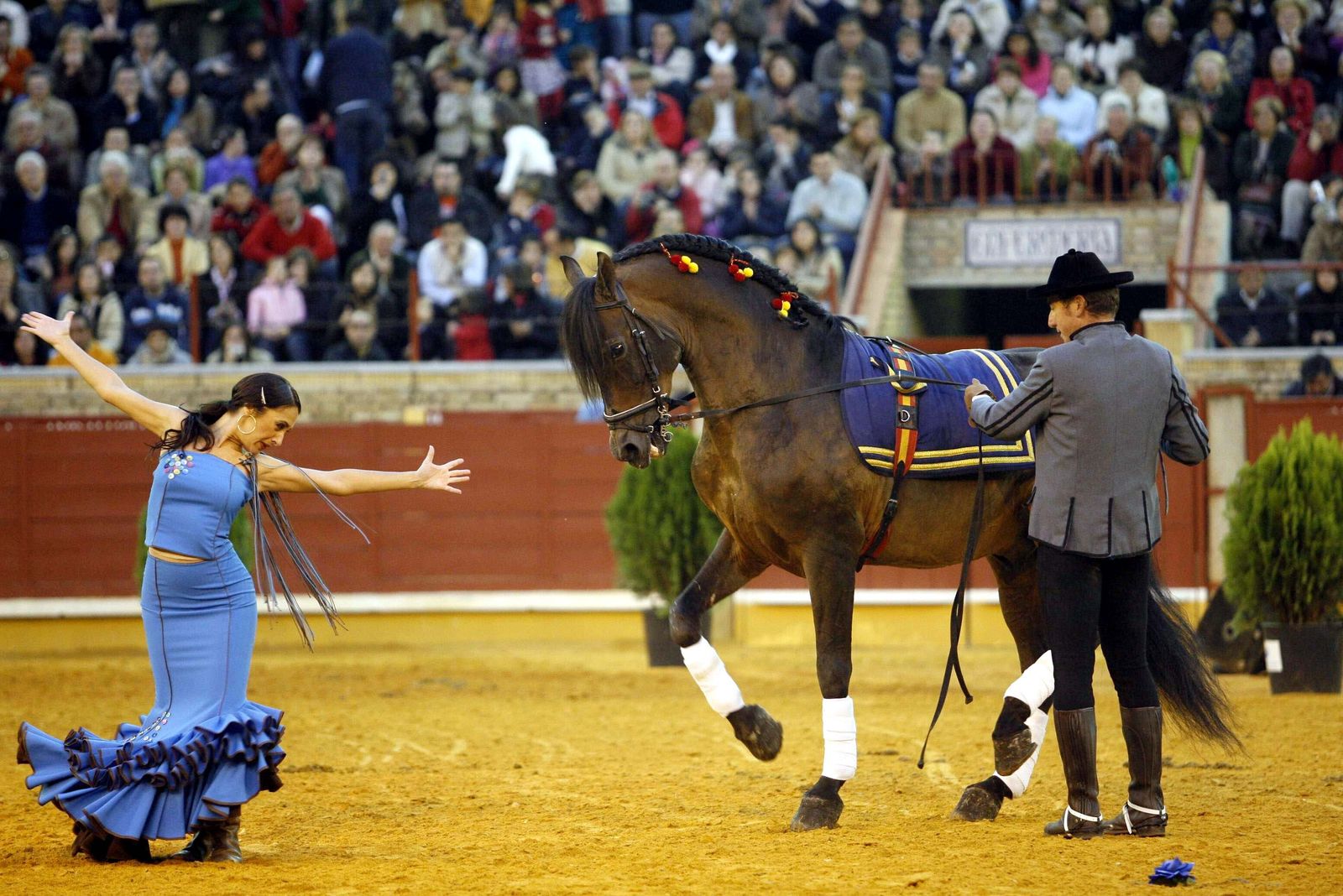 Un momento de Pasión y Duende del Caballo Andaluz.