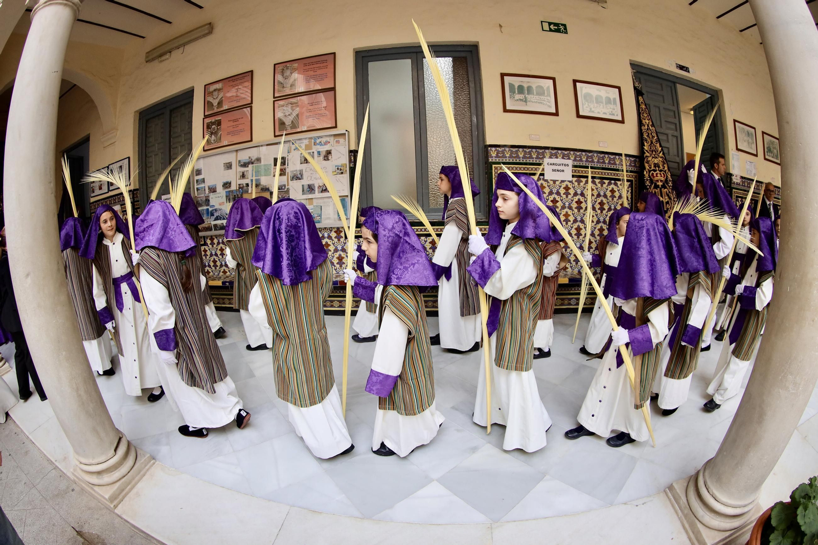 La Pollinica el Domingo de Ramos en Málaga, en imágenes