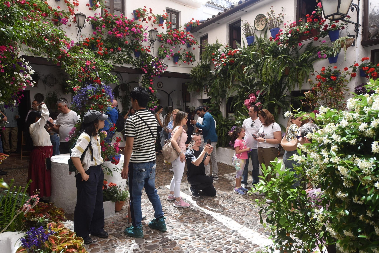 El último sábado de Patios de Córdoba en Alcázar Viejo, en imágenes