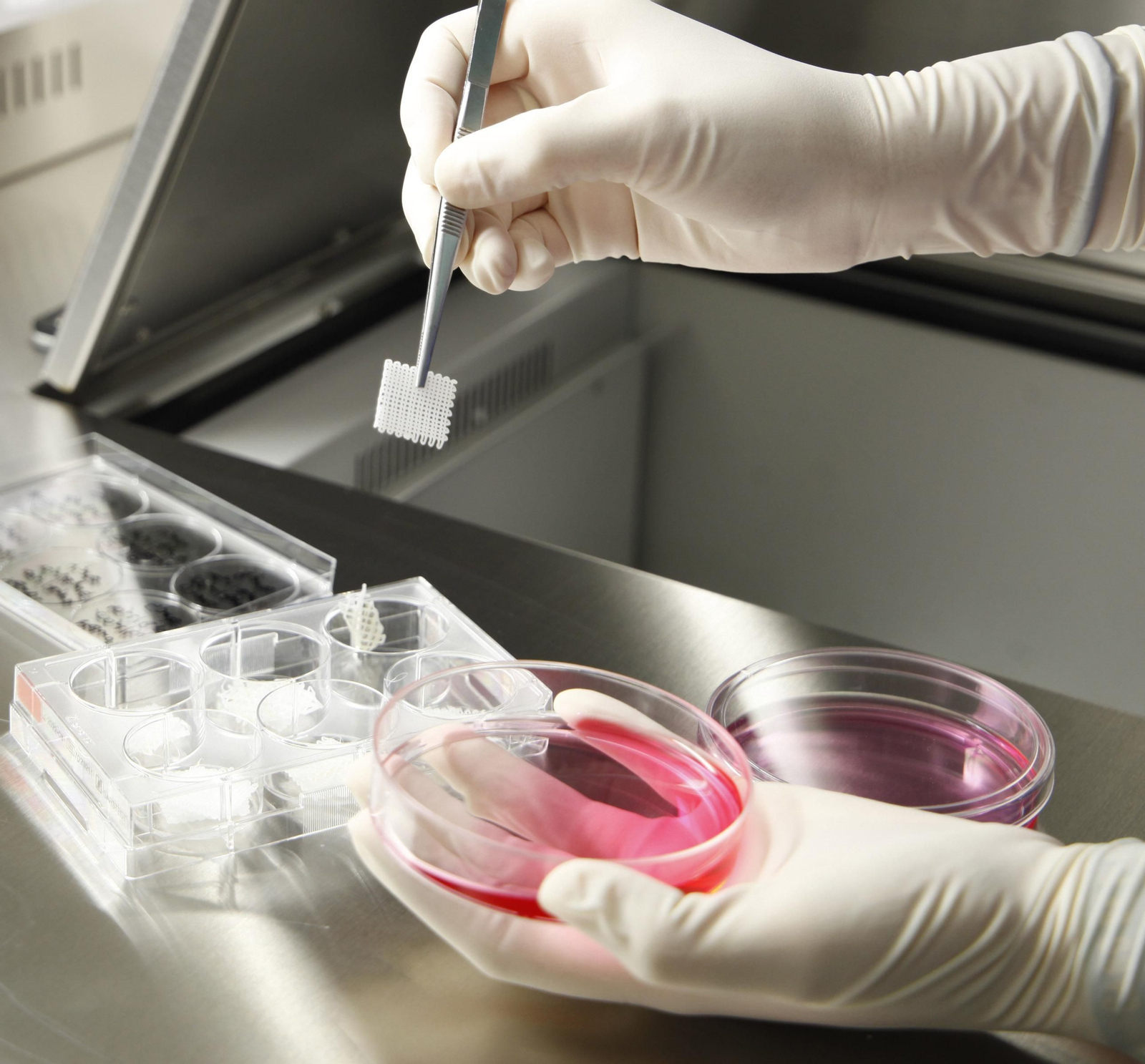 Logran reducir a la mitad el tiempo de curación de las lesiones musculares