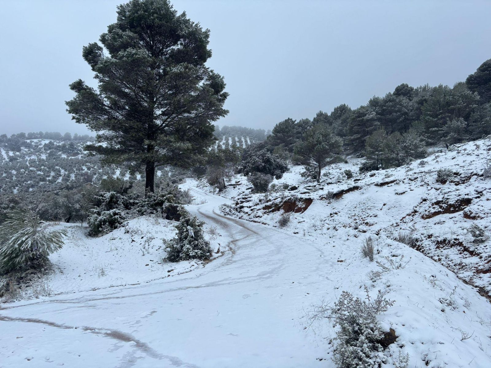 622056708_1440456964125542_9095761402083685860_n