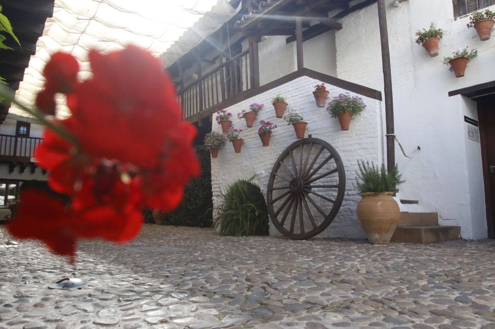 Ruta Judería-San Francisco: Plaza del Potro