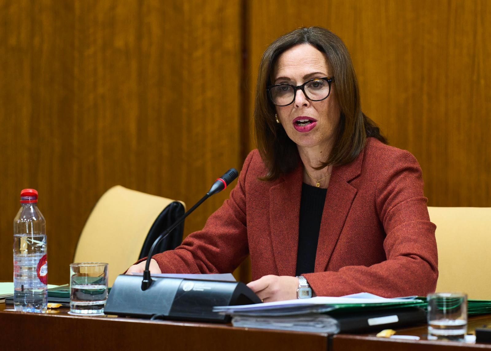 La consejera de Fomento, Rocío Díaz, durante su comparecencia en la comisión de Fomento.