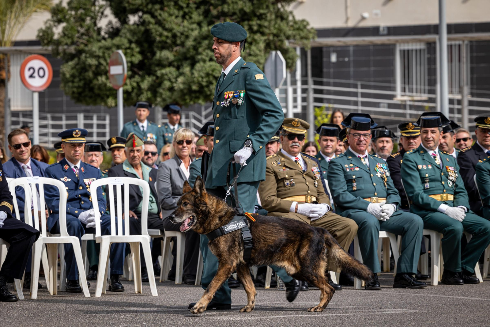 Imágenes de los actos de la Guardia Civil en Cádiz por la festividad de la Virgen del Pilar