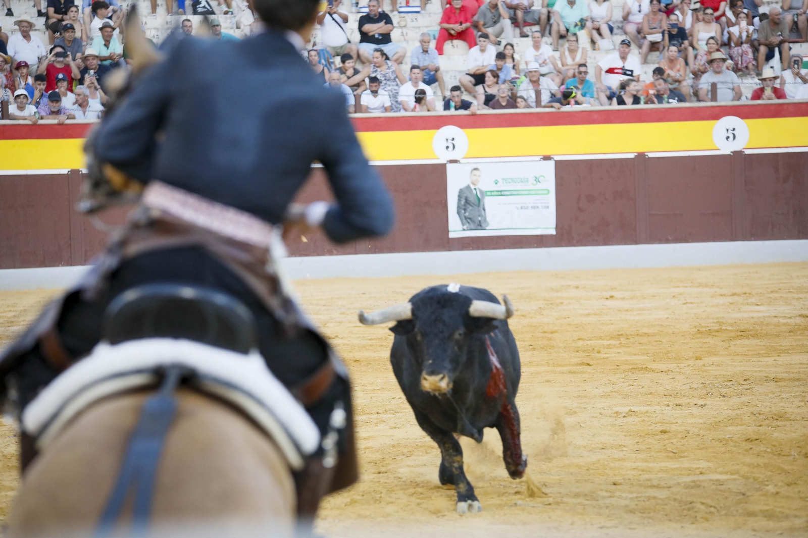 Corrida de toros Berja con un toro indultado, en imágenes