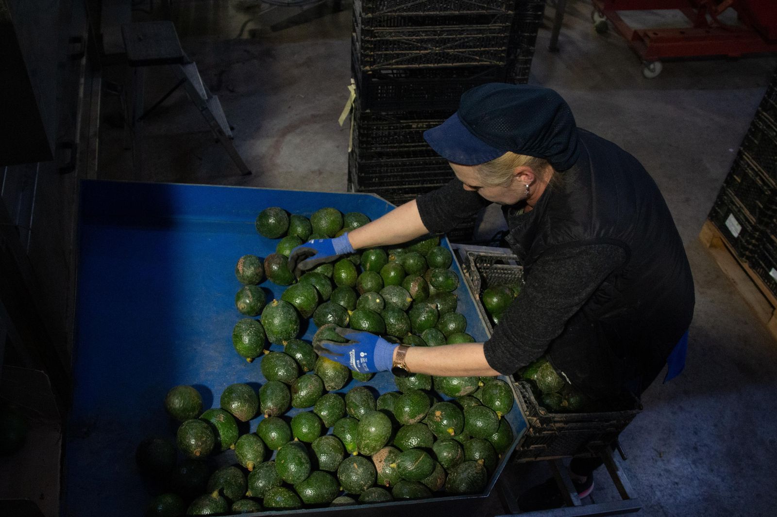 Las exportaciones de Granada alcanzan los 131 millones de euros durante enero de 2023