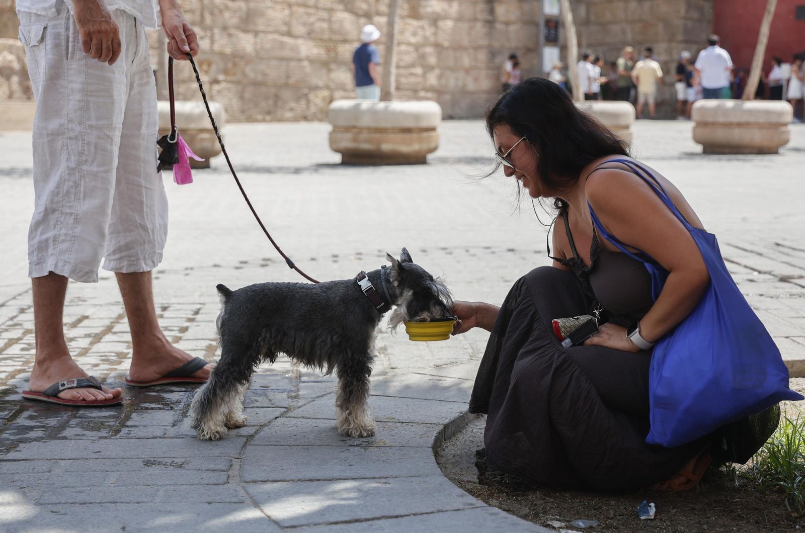 Otro día de calor en Sevilla