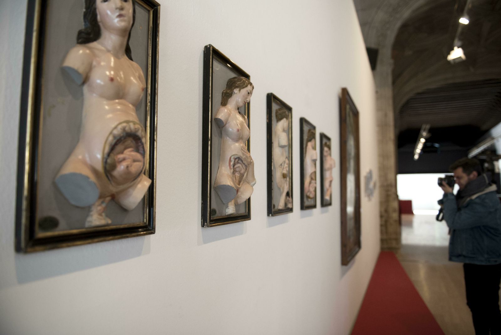 La muestra se puede ver hasta el 17 de mayo en el Hospital Real.