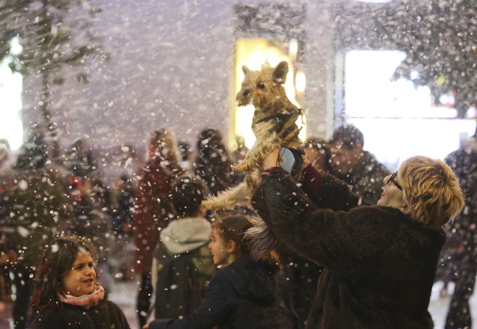La nieve vuelve a la Plaza de las Flores