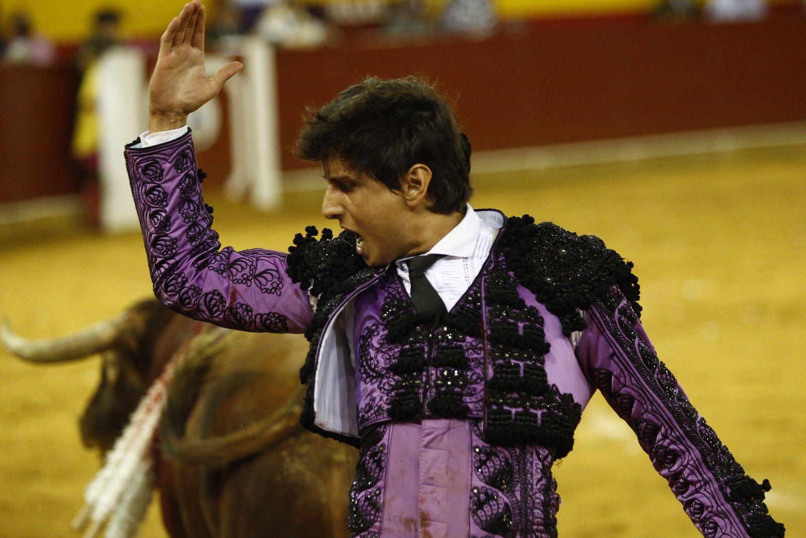 Fotogalería corrida de toros. Cayetano Rivera, Paco Ureña y Roca Rey. Roquetas de Mar.