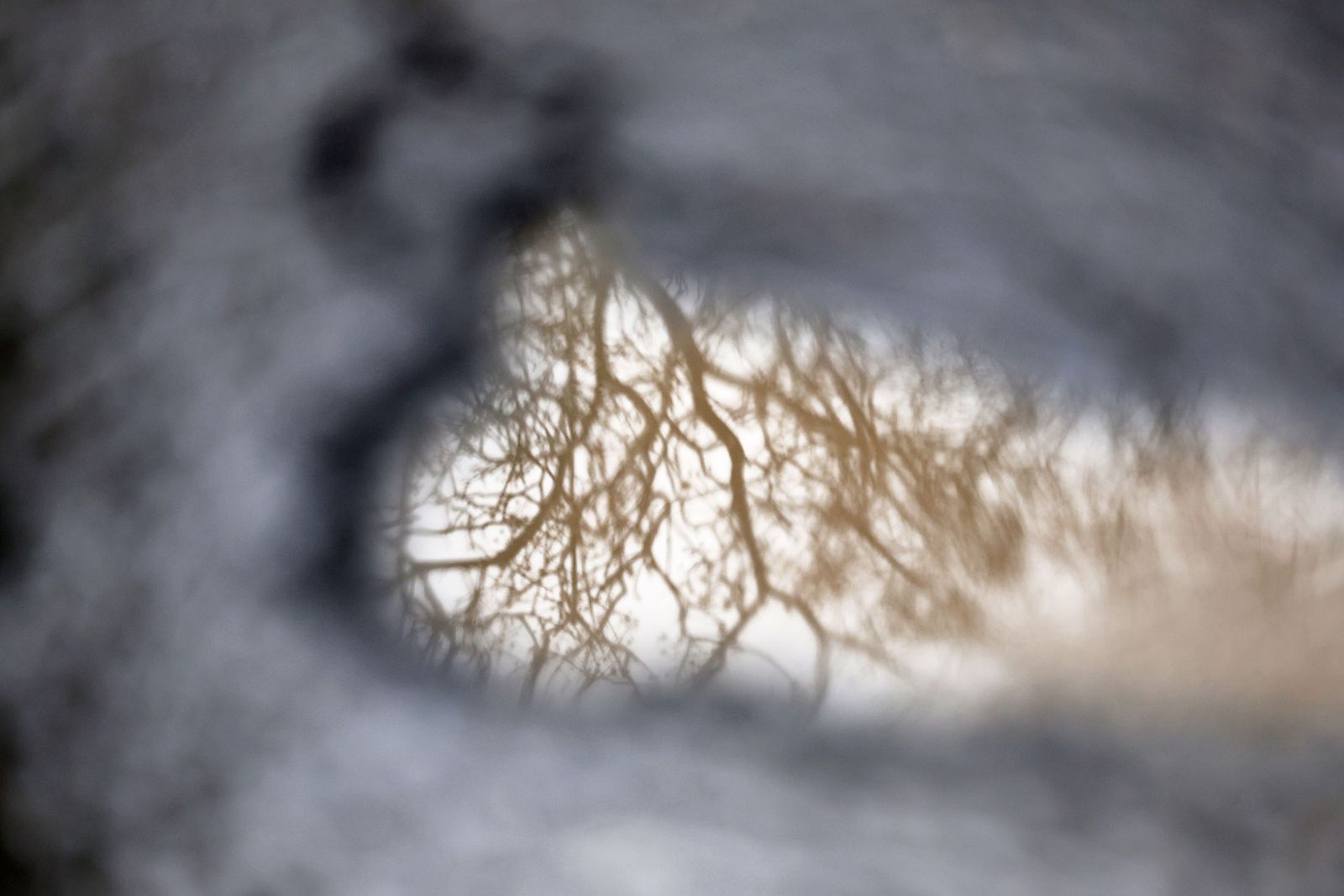 Las imágenes más destacadas del jueves 13 de marzo en Huelva