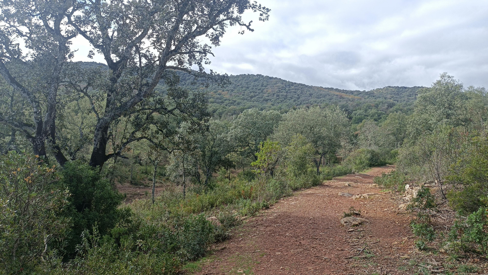 La vegetación es muy abundante en todo el paraje.