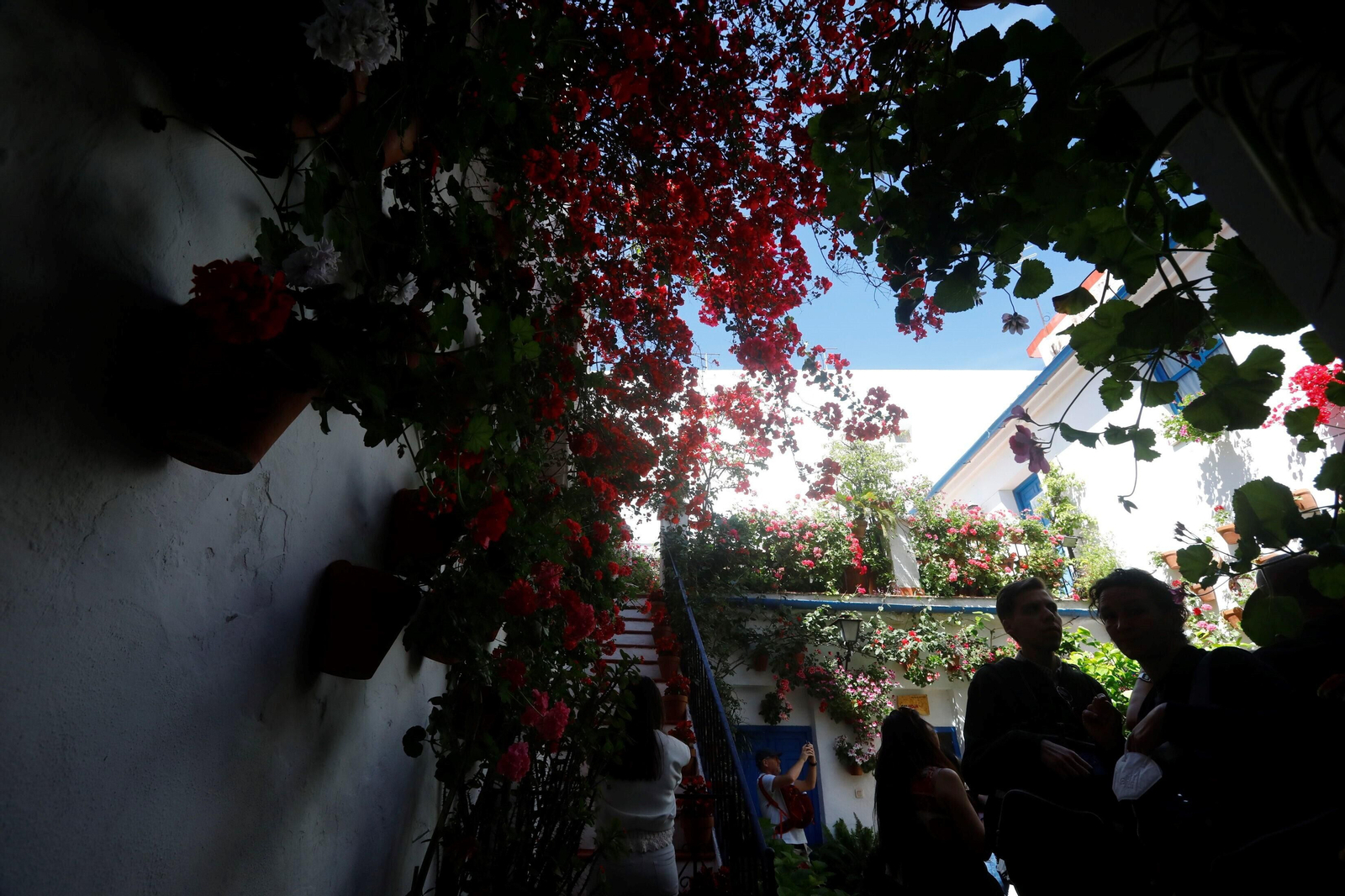 Los Patios de la Ruta de Santiago-San Pedro, en imágenes