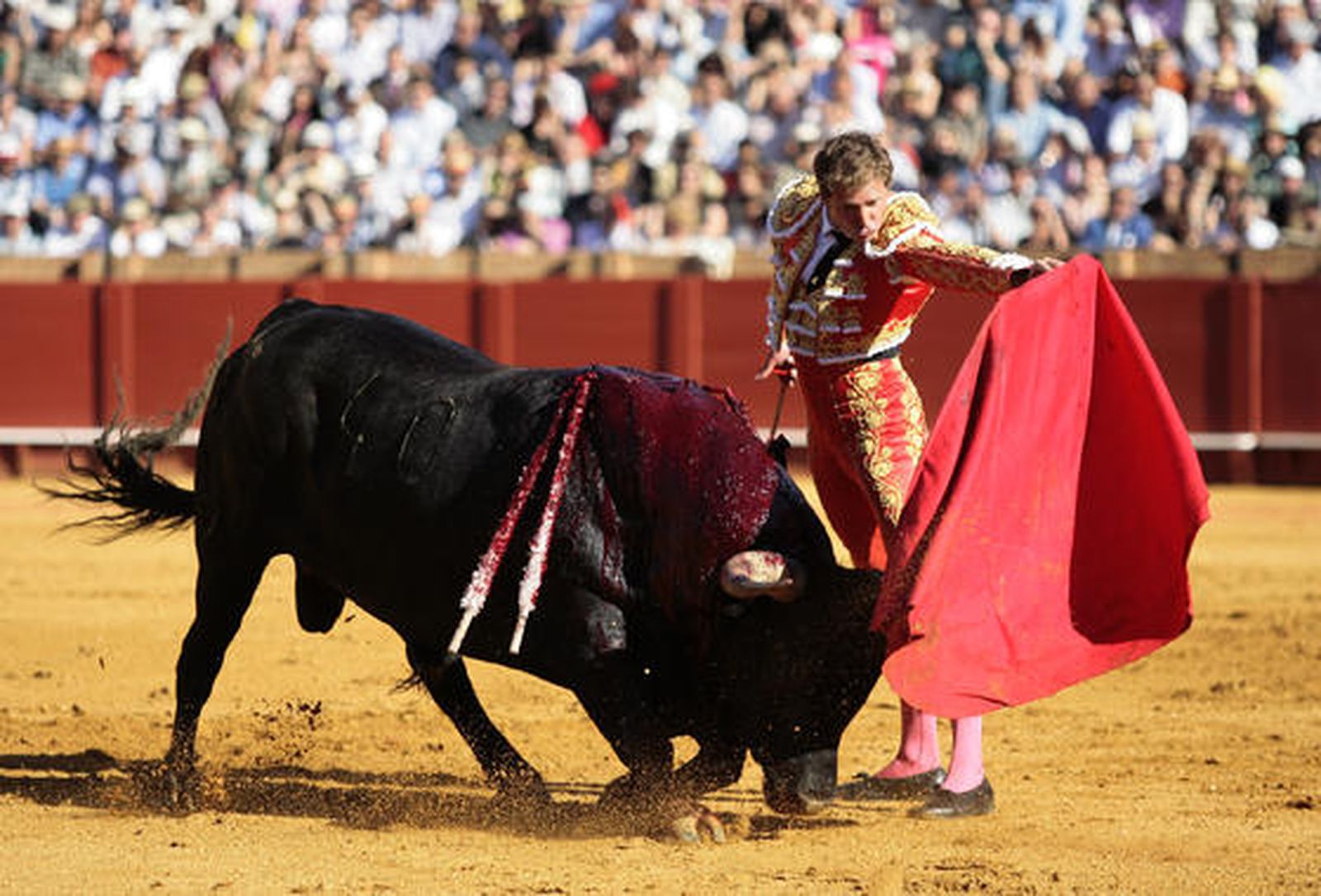 José Luis Moreno abre la última tarde de Feria en la Maestranza.

Foto: Juan Carlos Muñoz