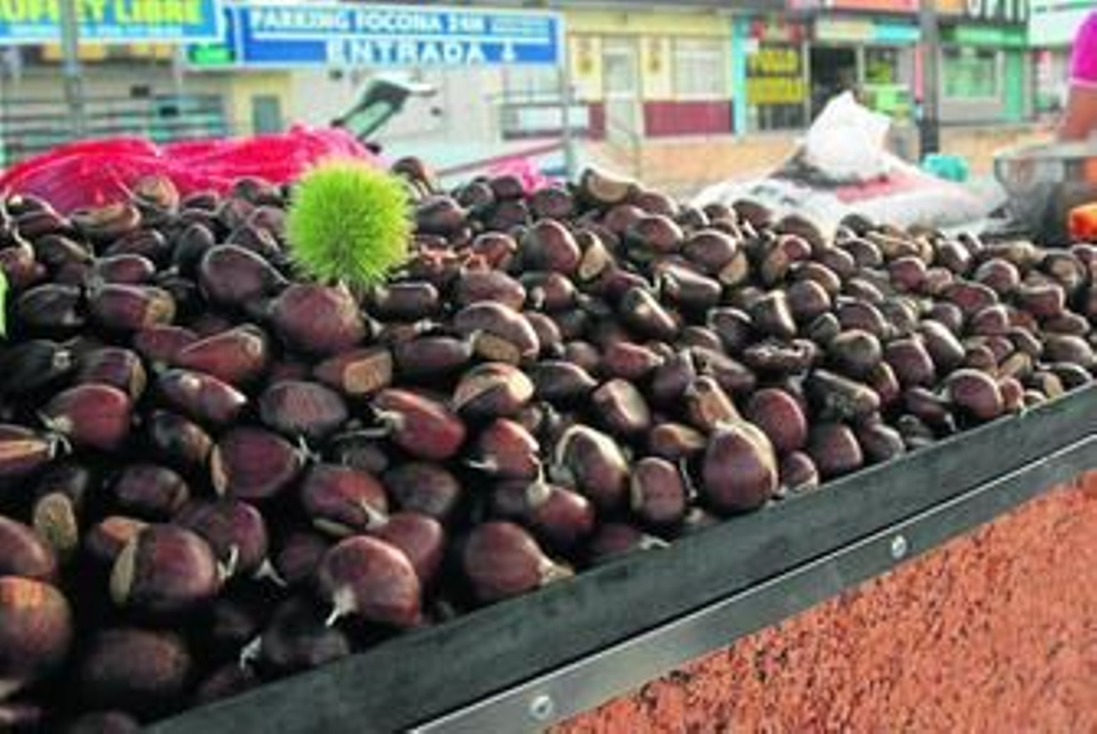 Los puestos de castañas vuelven a las calles de los municipios campogibraltareños.