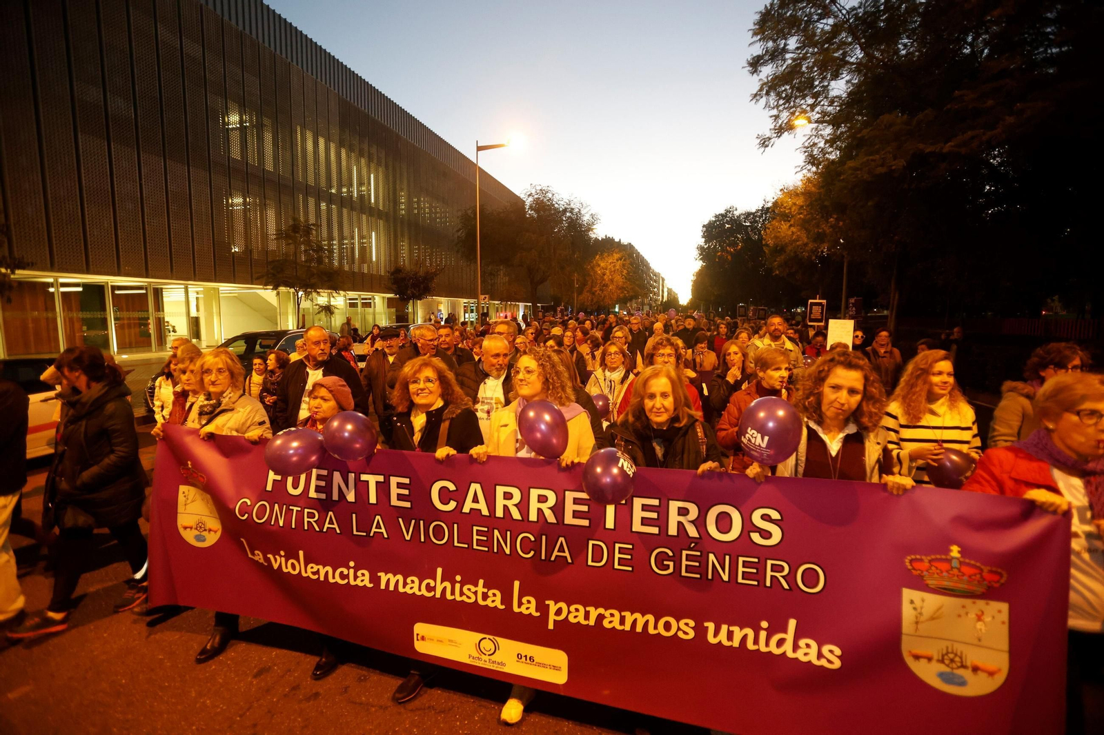 La manifestación del 25N en Córdoba
