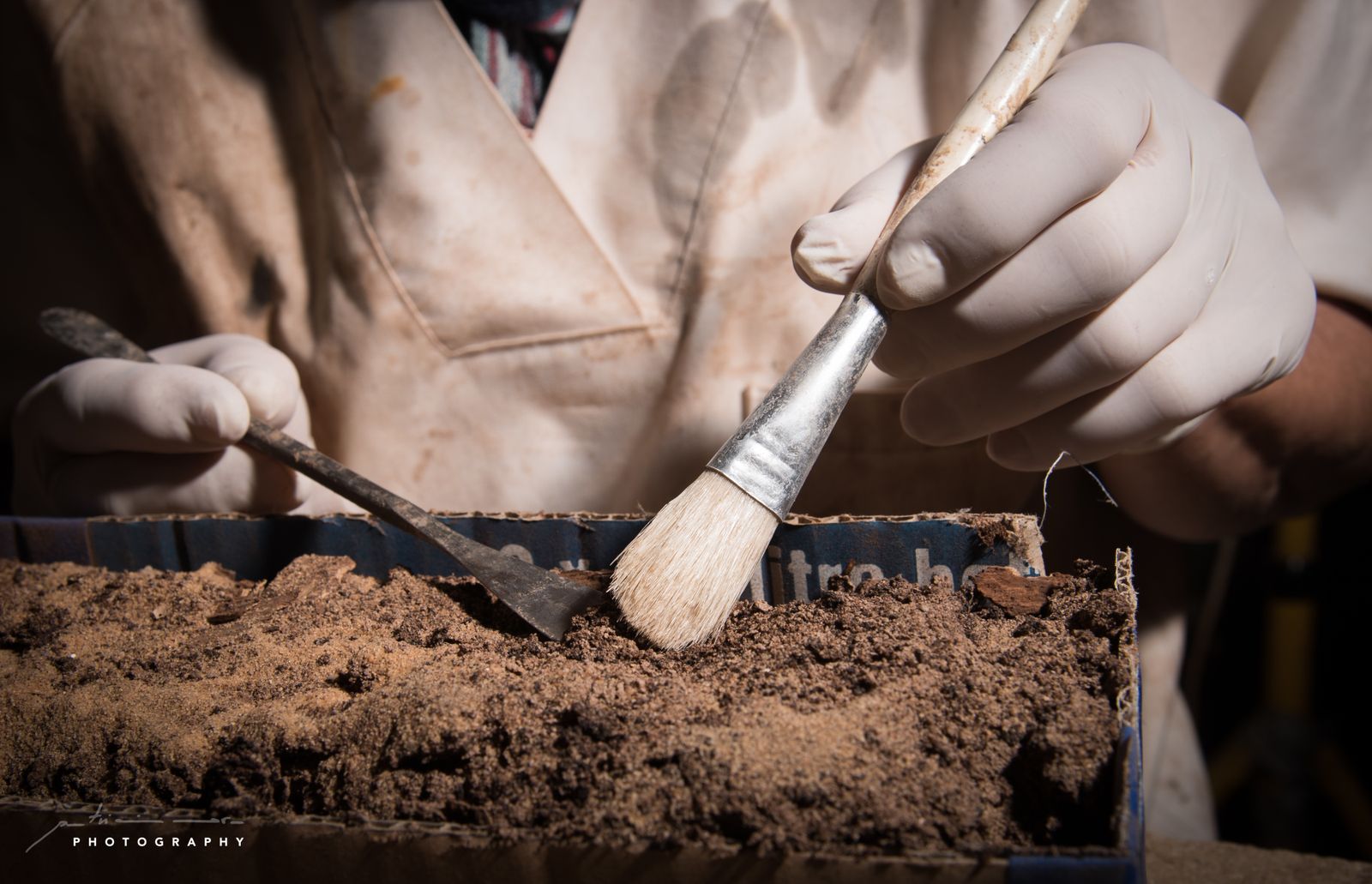 La novena campaña del Proyecto Qubbet El-Hawa, en imágenes