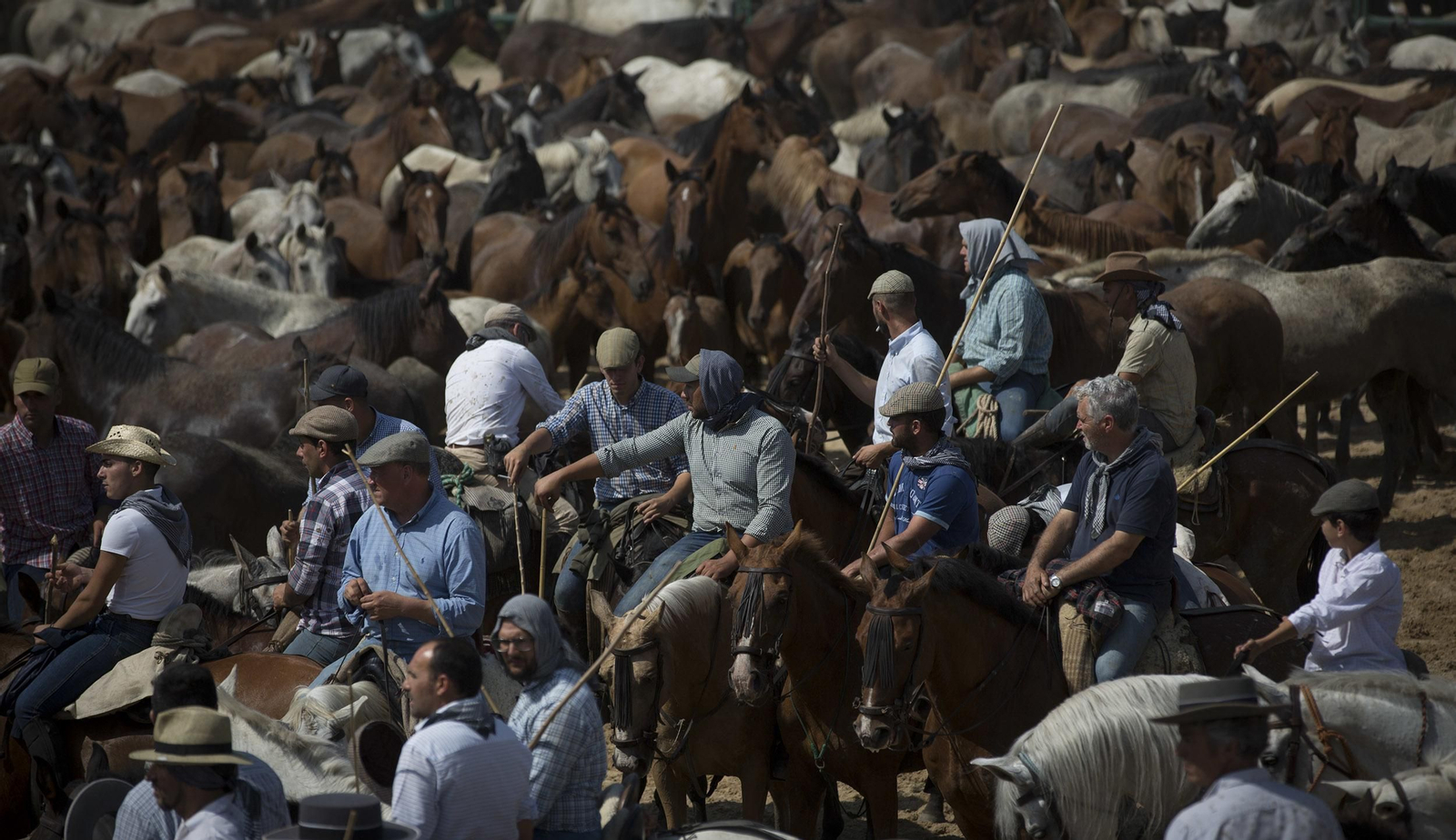 La tradicional y ancestral 'Saca de las  Yeguas', en imágenes