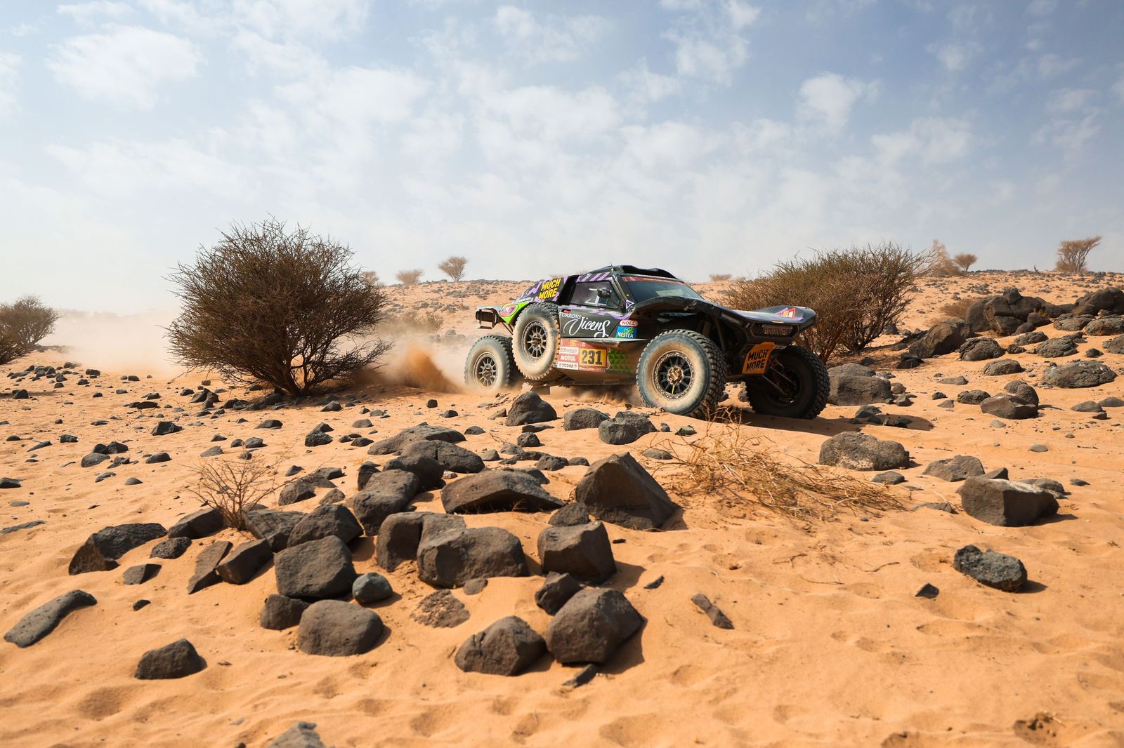 Las mejores fotos del Rally Dakar | undécima etapa