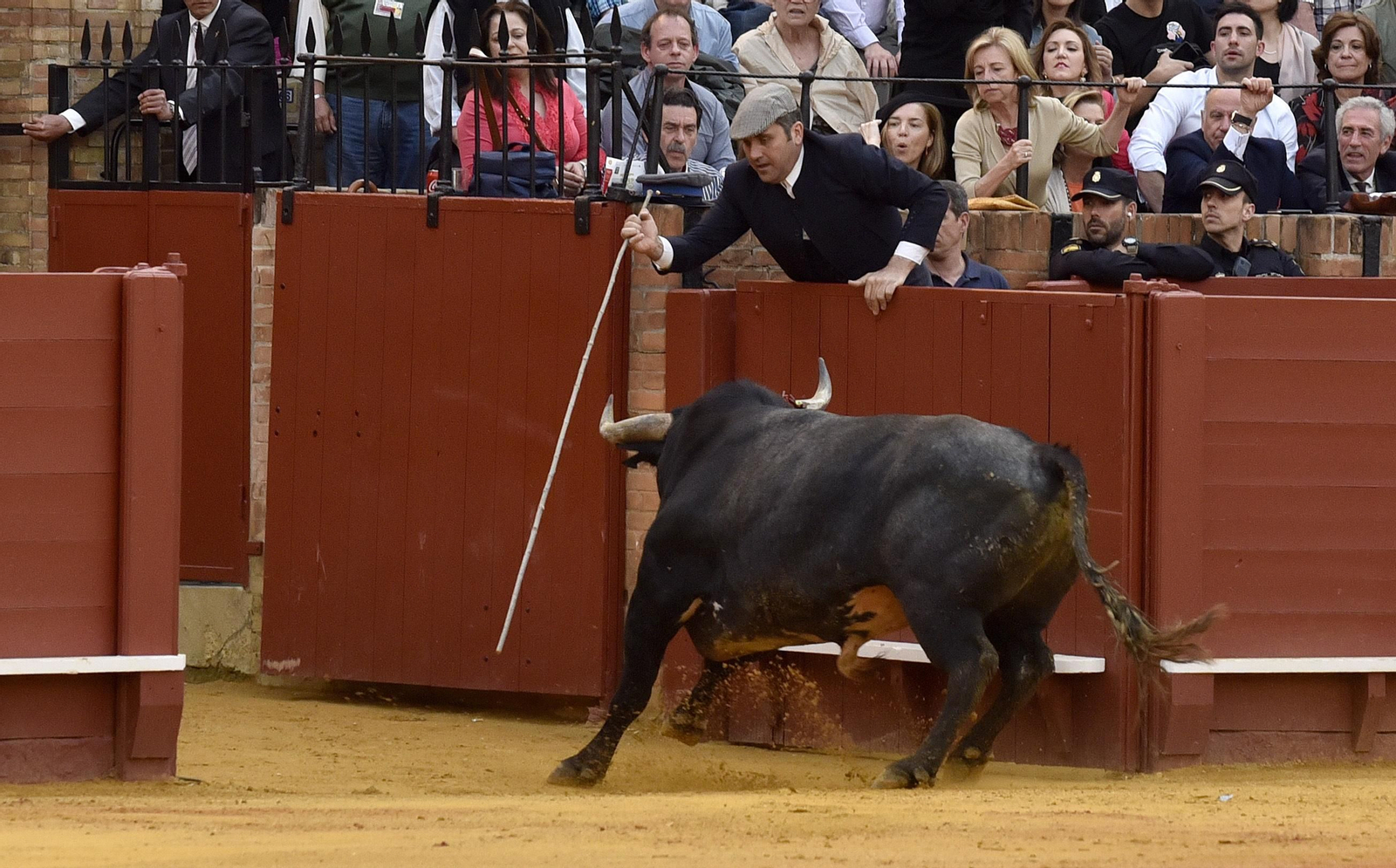 Las imágenes de la 14ª de abono de la Maestranza