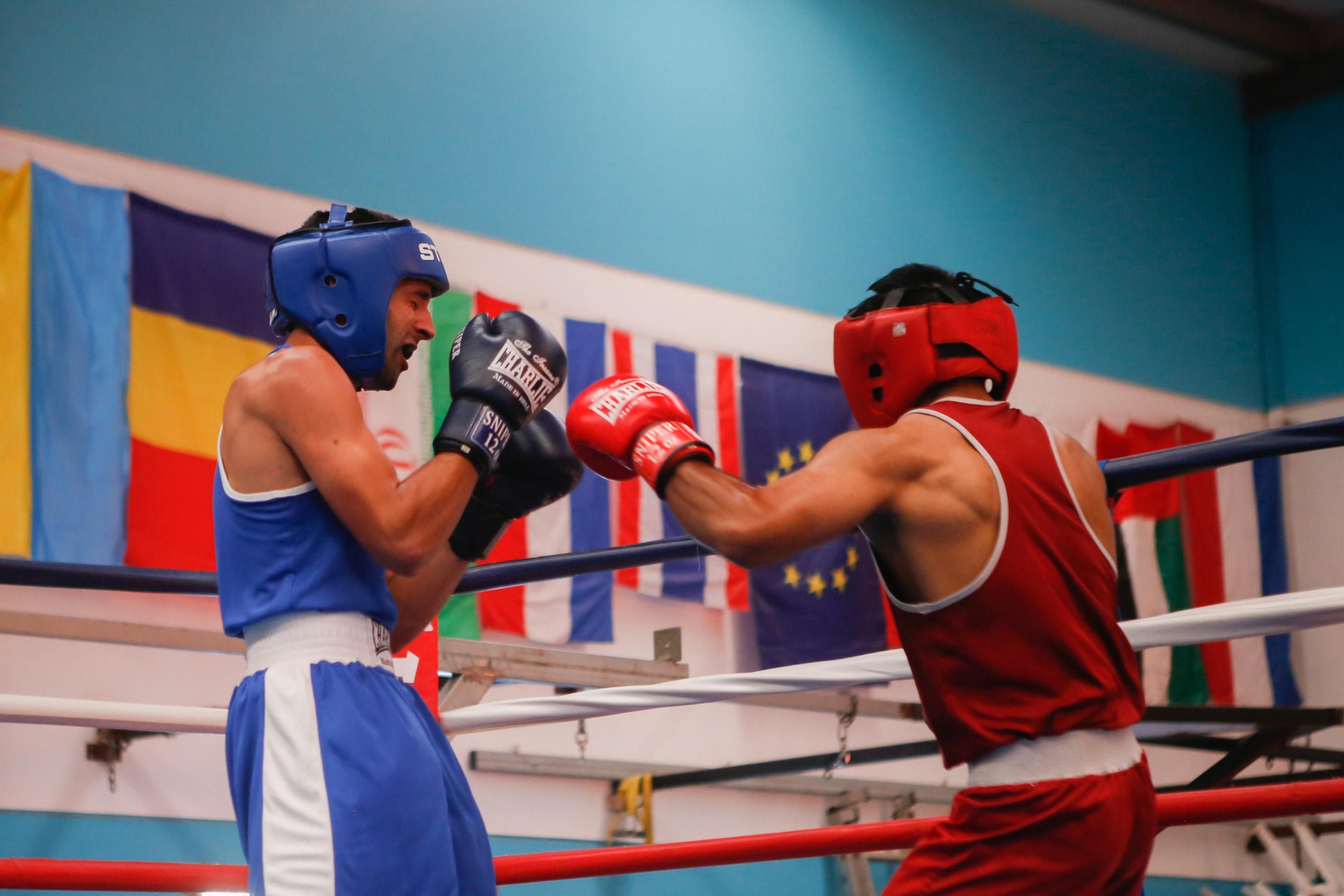 Las fotos de la velada de boxeo Gibraltar-Selección Andaluza en La Línea Las fotos de la velada de boxeo Gibraltar-Selección Andaluza en La Línea