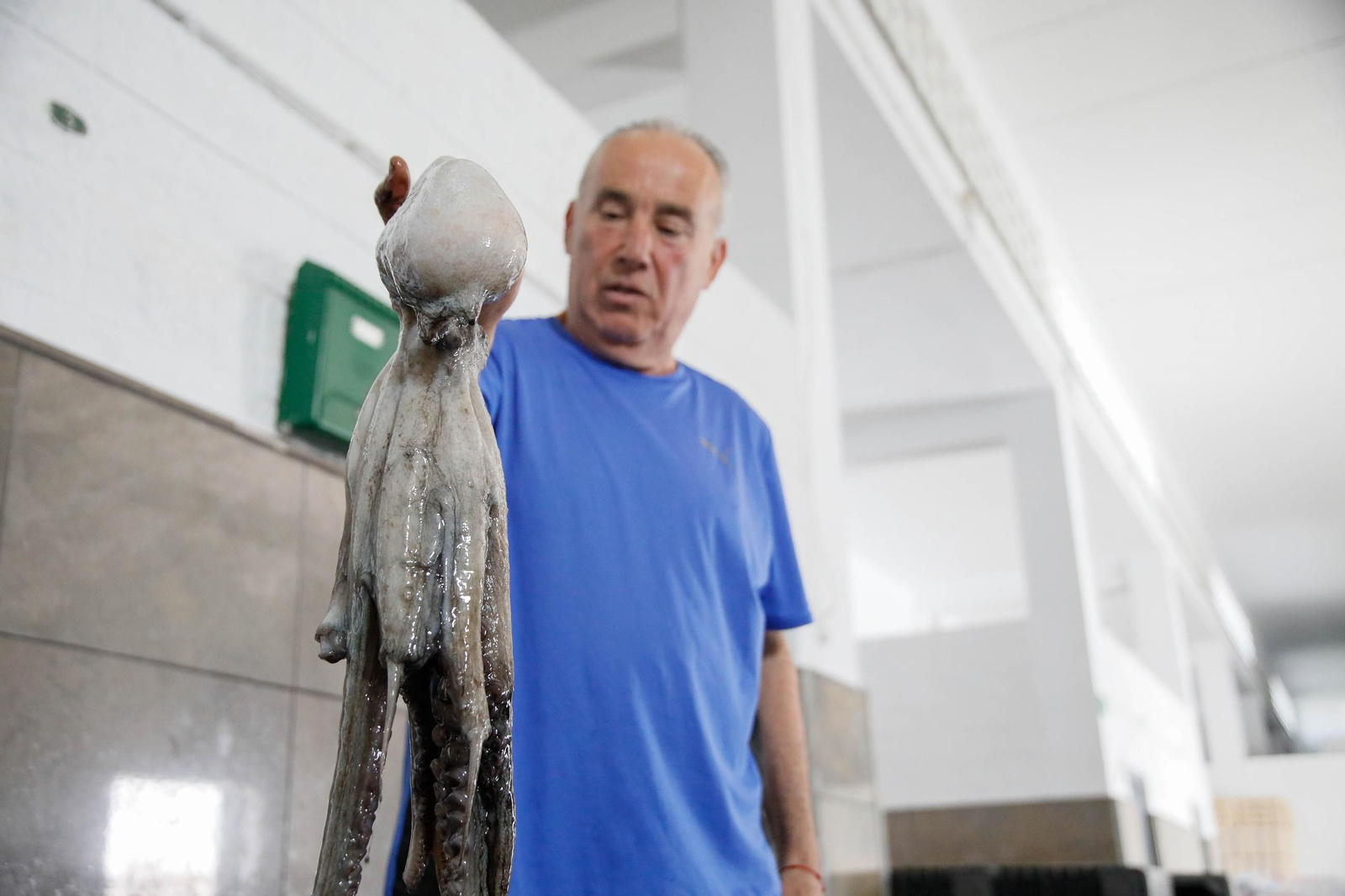 Vea cómo es la captura de pulpo en Adra, un manjar gastronómico