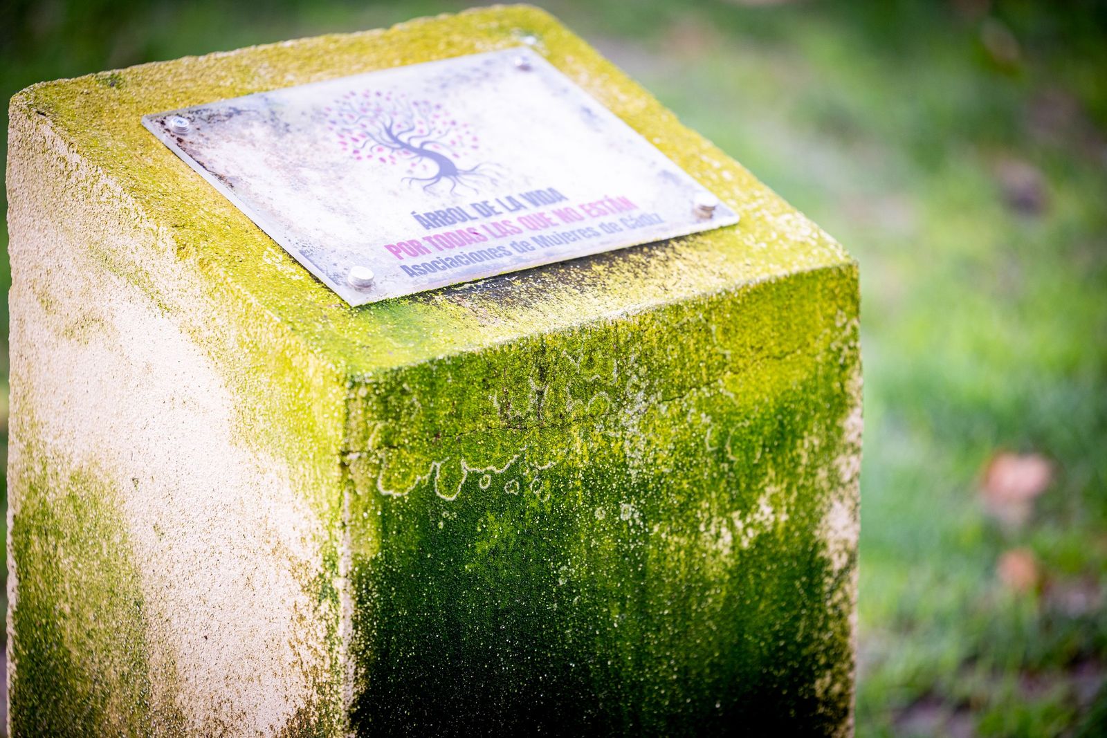 Las imágenes del mal estado de la Plaza de España en Cádiz