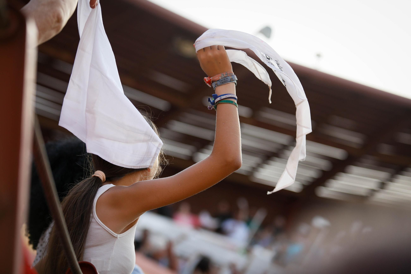 Imágenes de la corrida de toros en Roquetas de Mar