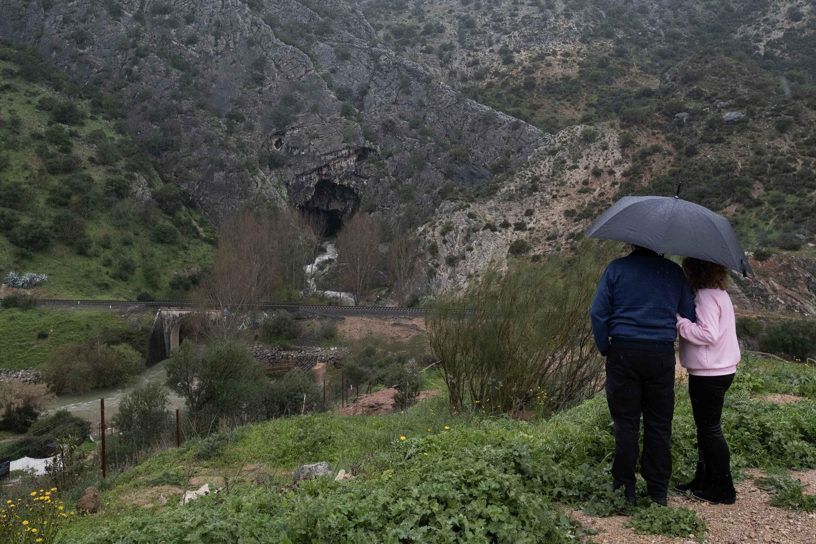 La lluvia transforma el paisaje de Málaga, en imágenes