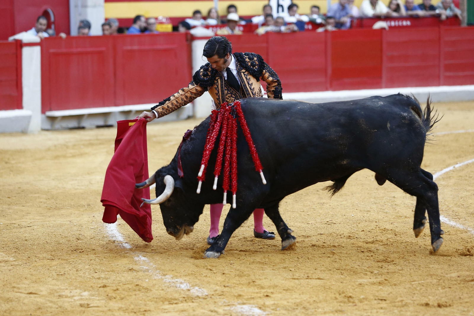 Las mejores imágenes de los toros en el Corpus