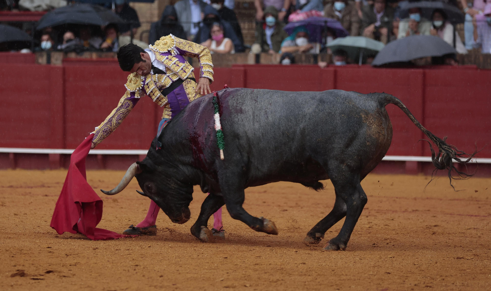 Las imágenes de la quinta corrida de San Miguel