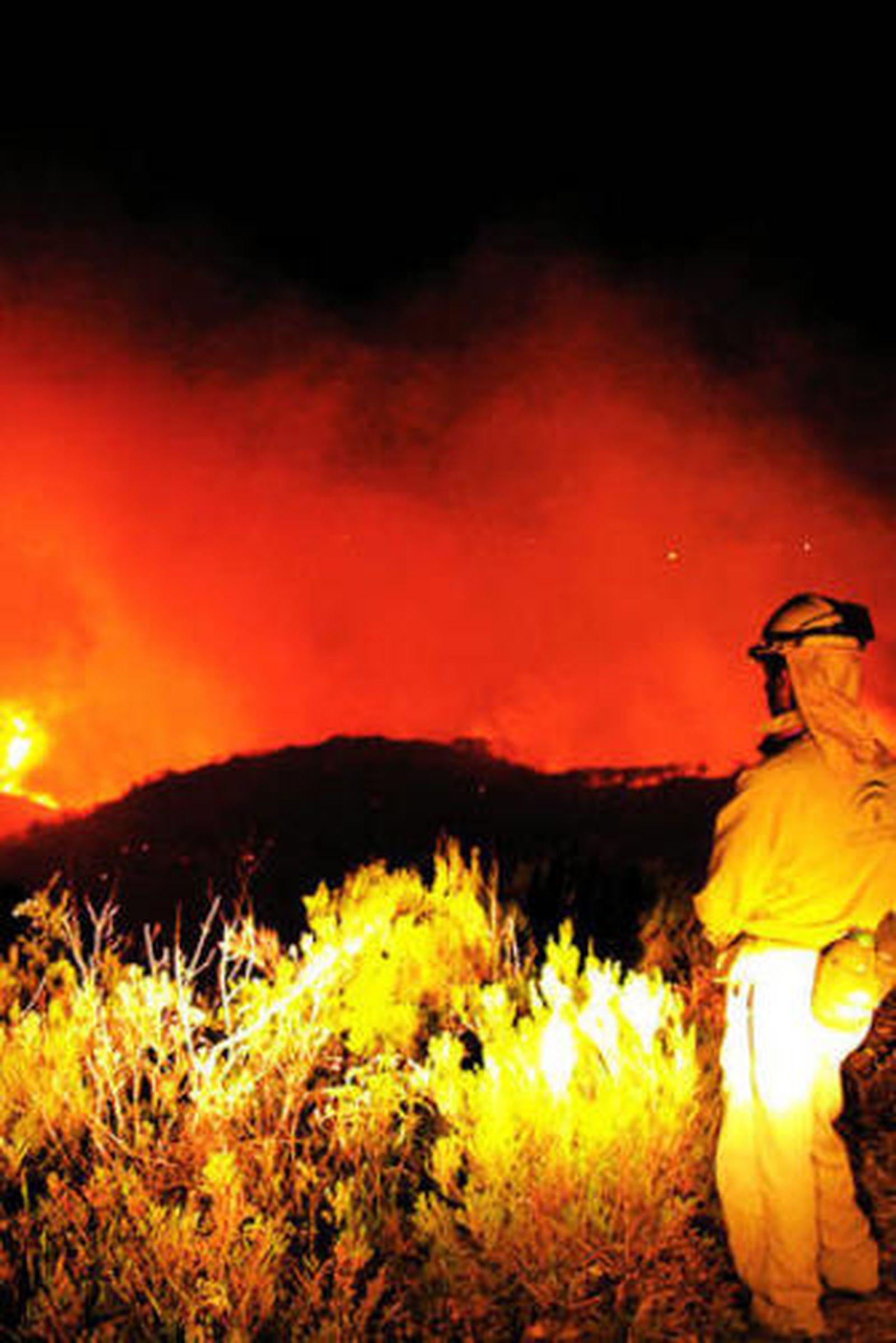 El desastre ecológico del siglo