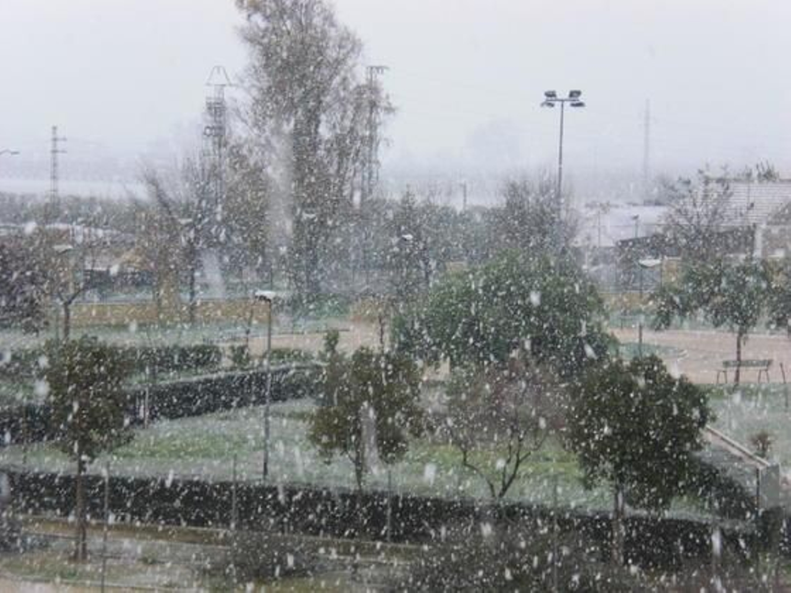 Nevada en Brenes./ Teresa Gómez López