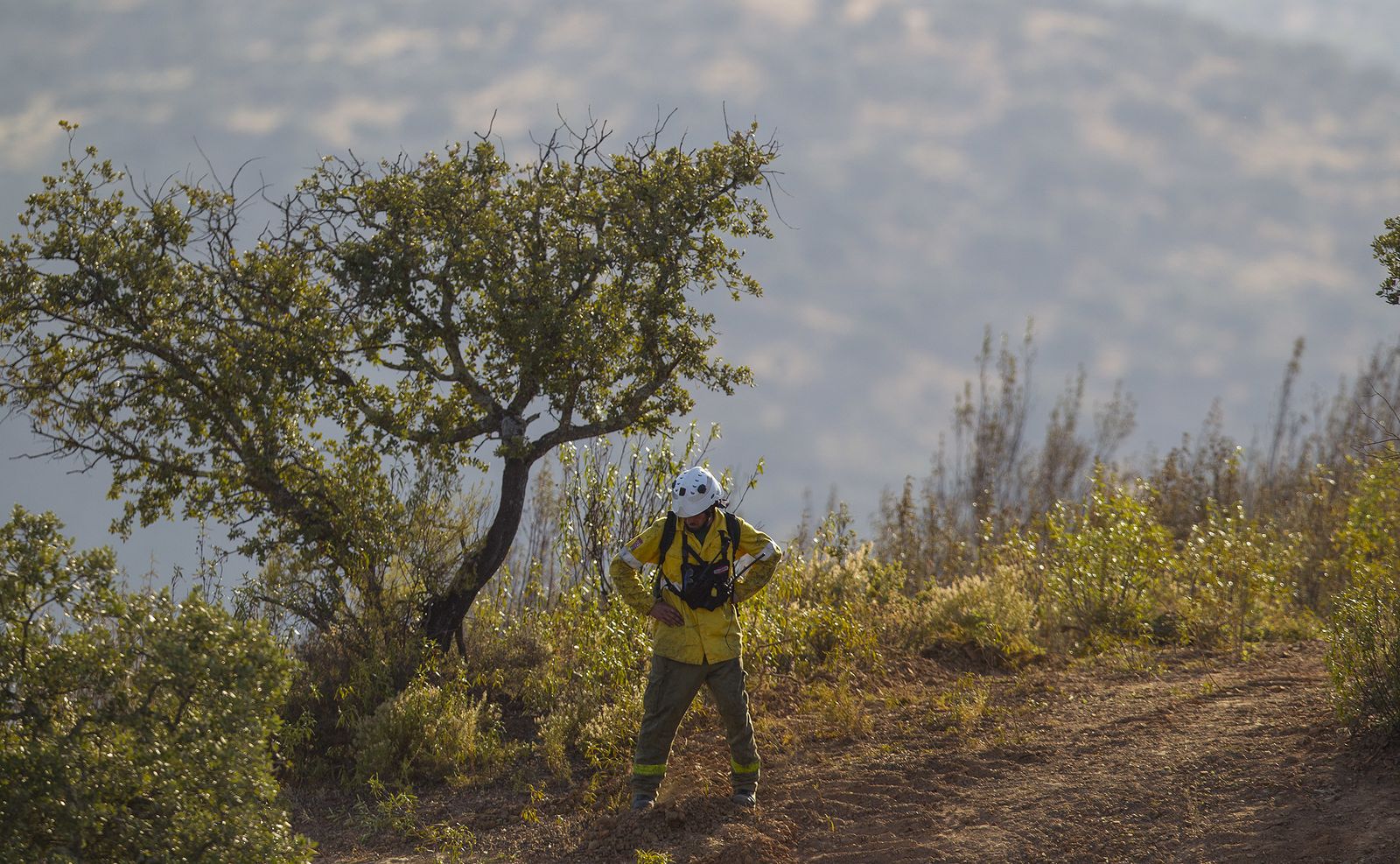 El incendio forestal de El Ronquillo, en imágenes