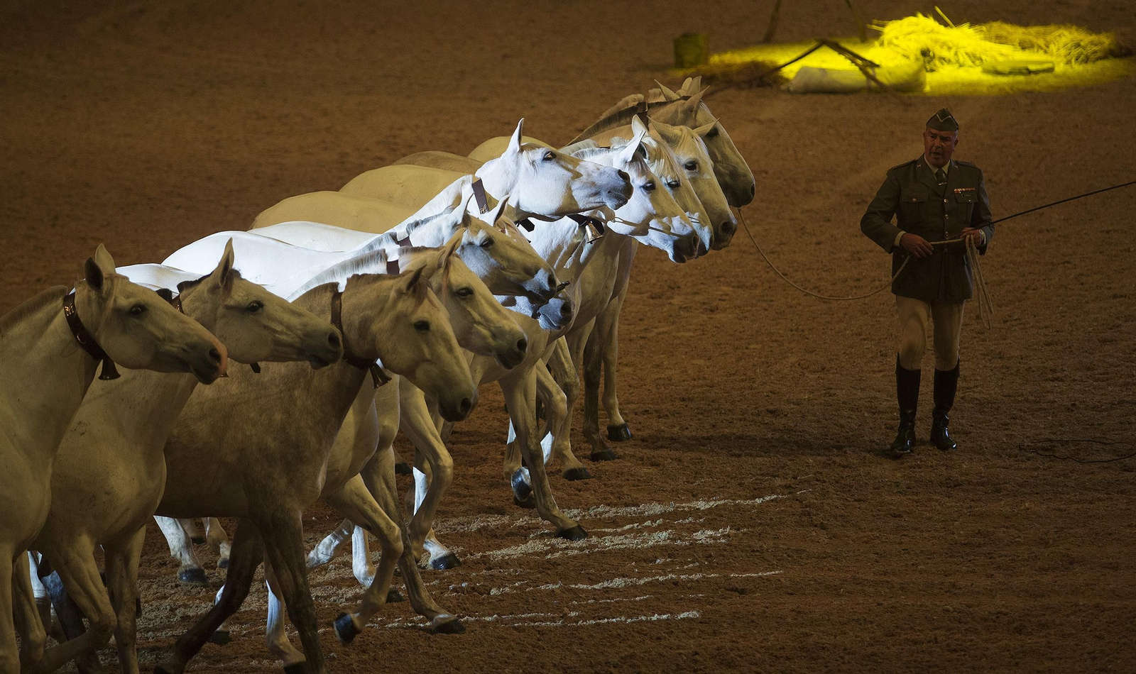 Un miembro de la Yeguada Militar con una cobra de doce caballos.